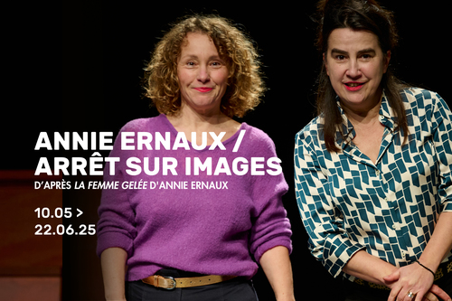 ANNIE ERNAUX / ARRÊT SUR IMAGES