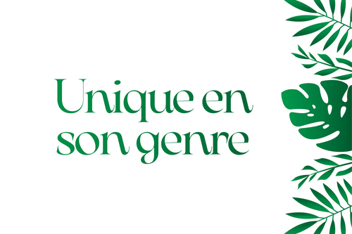 UNIQUE EN SON GENRE